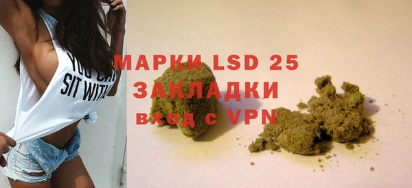 PSILOCYBIN Алзамай