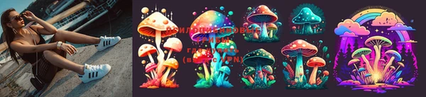 PSILOCYBIN Алзамай