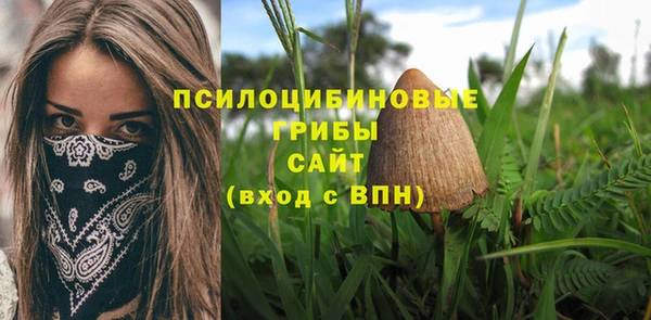бошки Алексеевка