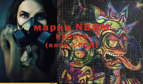 PSILOCYBIN Алзамай